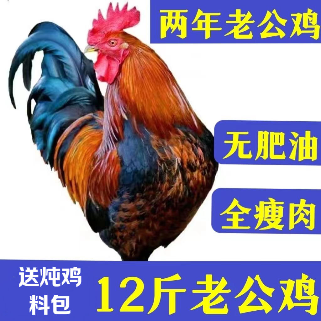 散养两年老公鸡：农家美味，一口鲜香，让你吃出健康！