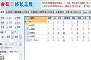 金花站长工具8.8.10