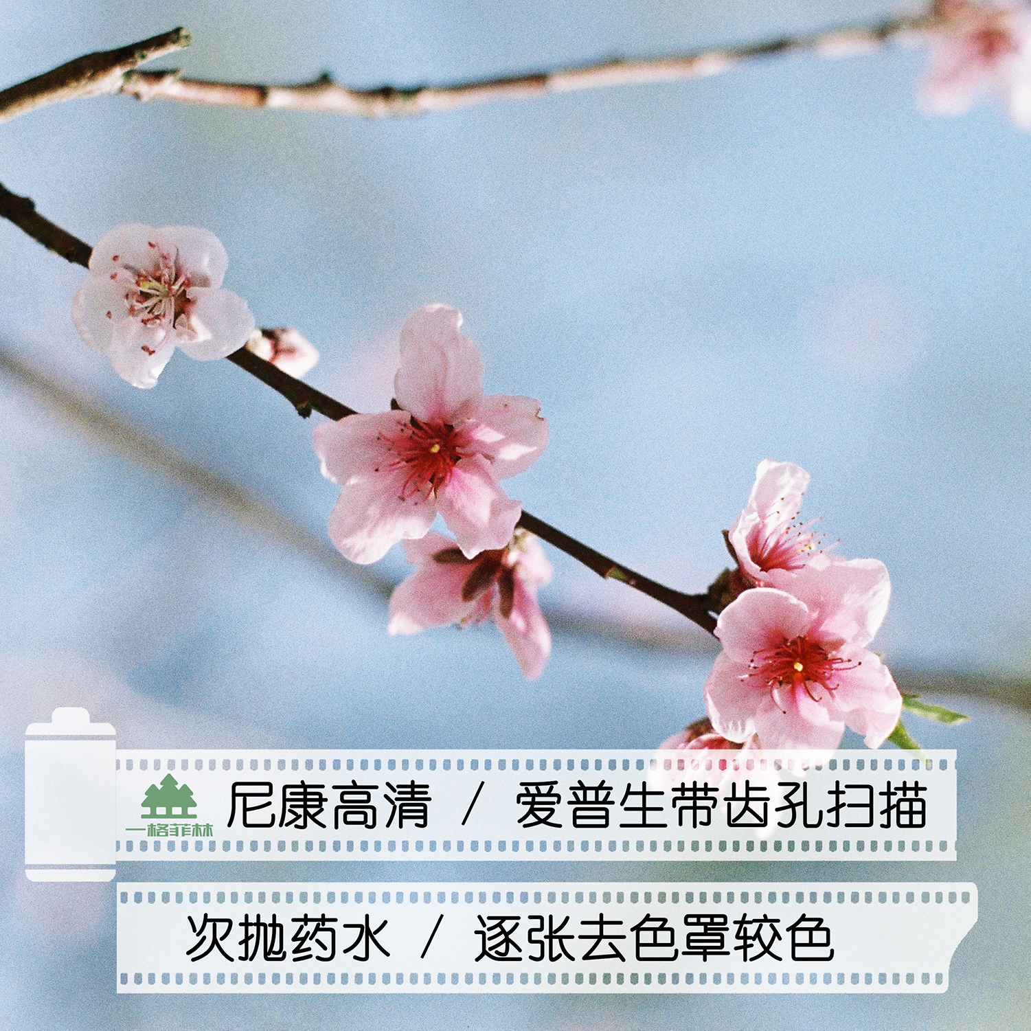 尼康P60：宝藏相机指南，拍出生活的小确幸！
