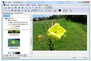 Alternate Pic View Lite2.180