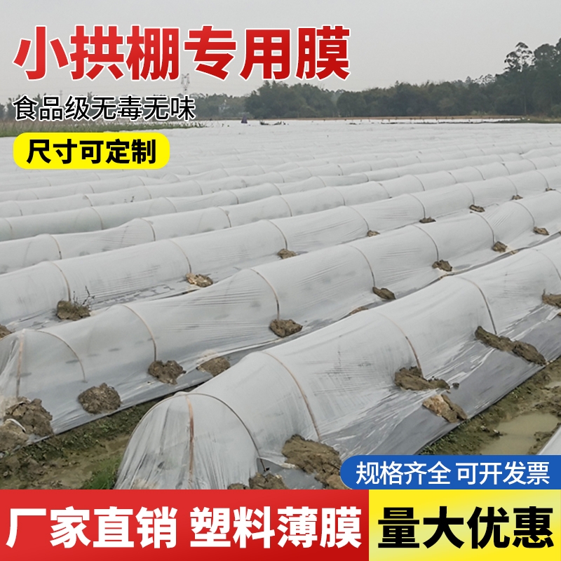 农用透明塑料薄膜：种菜小拱棚膜的秘密武器，守护农田的温暖小卫士！