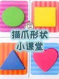 猫爪形状小课堂