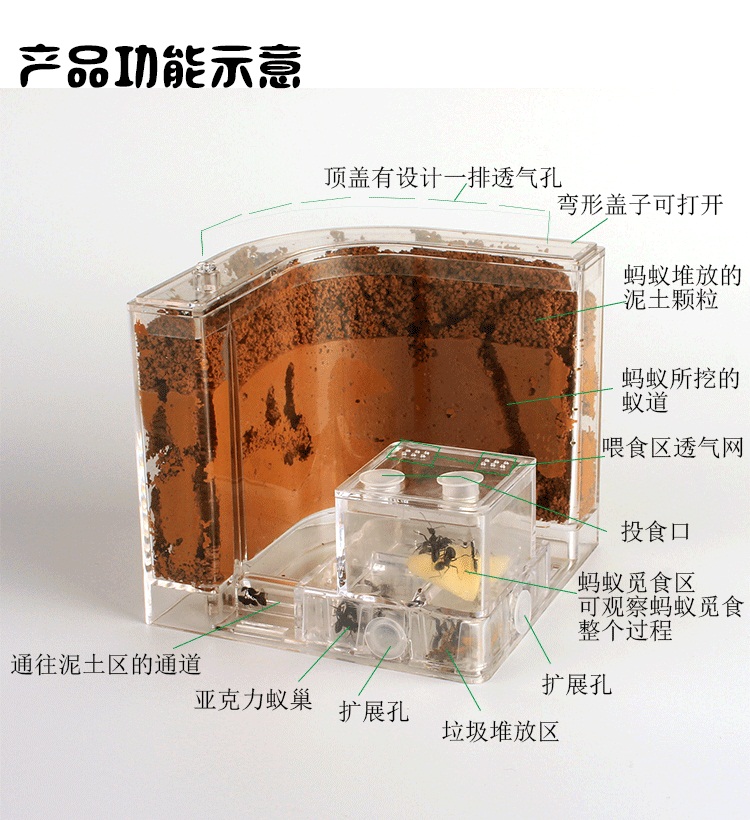 生态蚂蚁工坊别墅沙堡土巢宠物活体城堡蚁巢亚克力窝：打造梦幻微观王国的秘密基地！