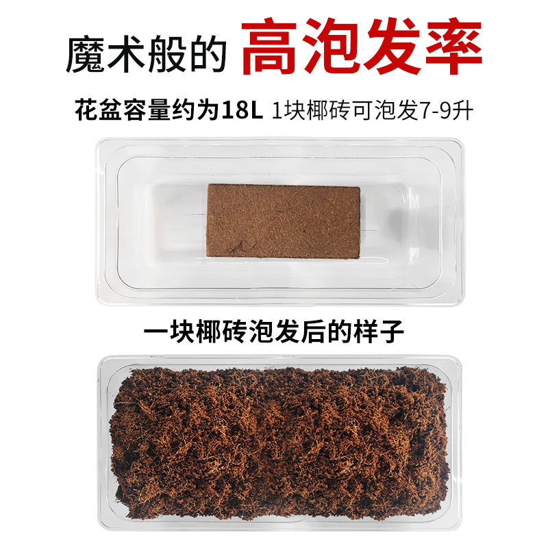 草莓立体栽培新潮流，U型椰糠槽轻松种出甜心草莓