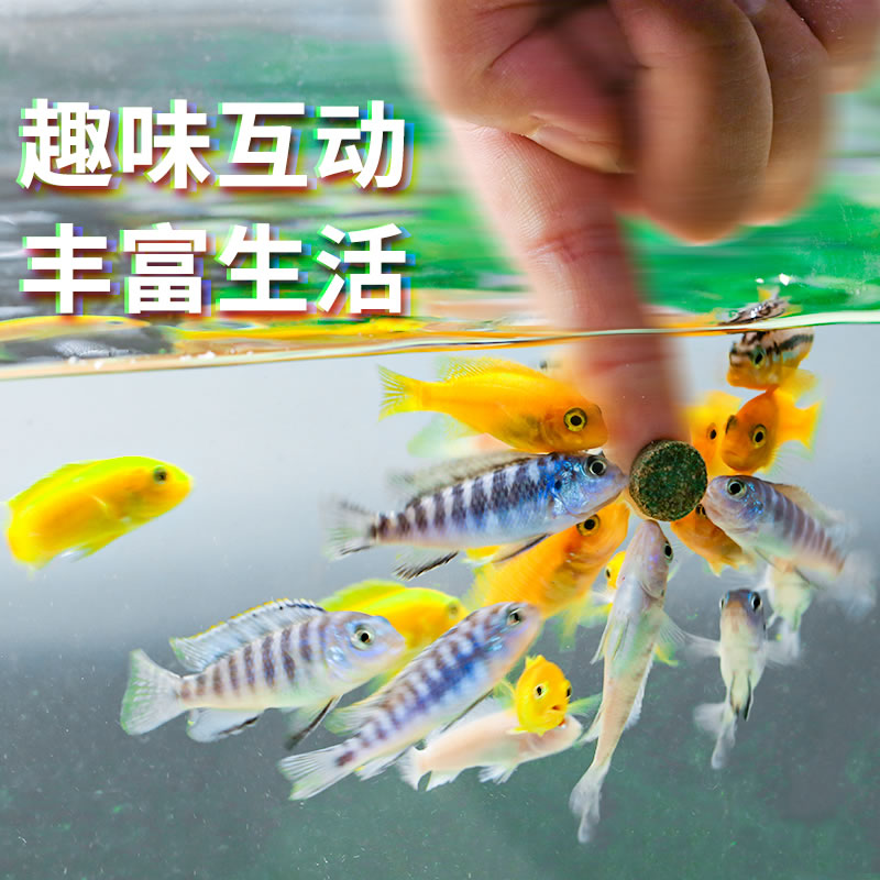 手把手教你！斗鱼直播如何关闭麦克风权限，保护隐私不被打扰！