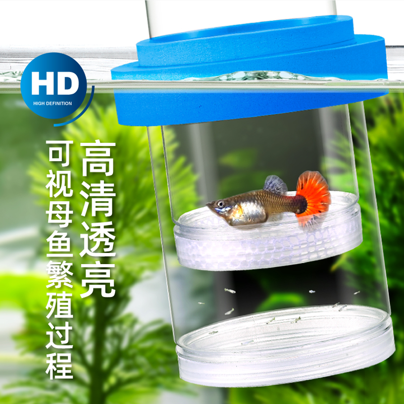 鱼缸内养小鱼苗隔离网：孔雀鱼密网产箱，打造完美孵化环境！✨