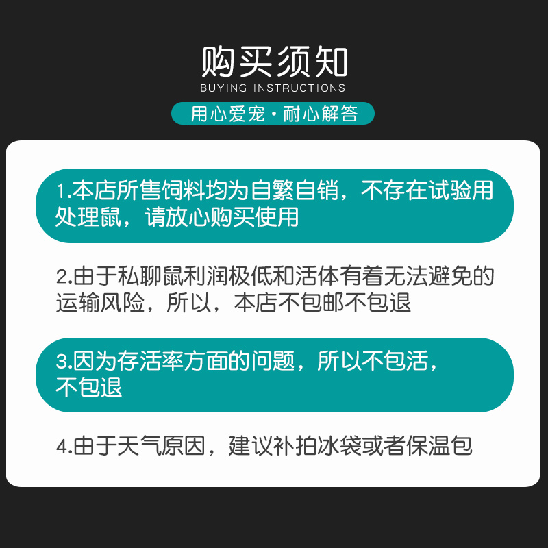 家养小鼠缎子鼠宠物鼠青年鼠饲料：开启你的宠物鼠养成日记