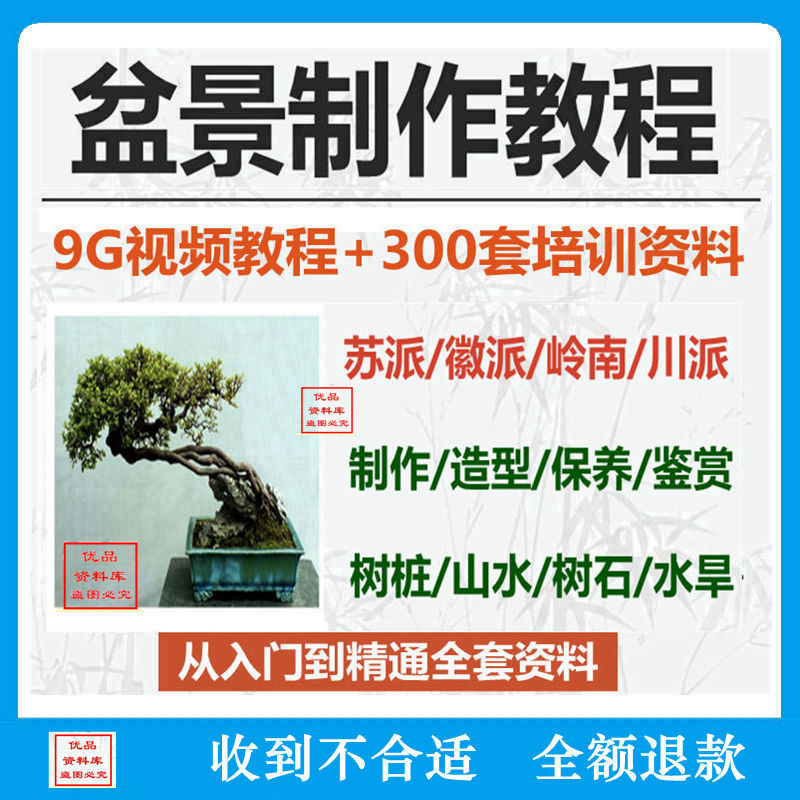 小林国雄教你制作盆景：从零开始的盆景艺术之旅！