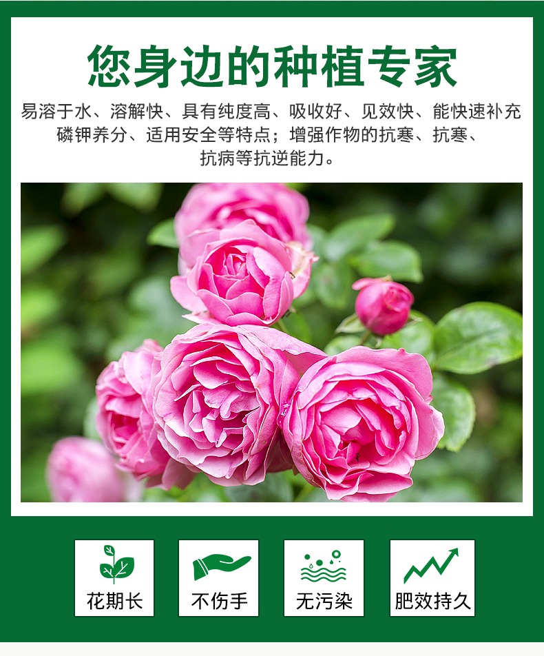 磷酸二氢钾：种菜种花的秘密武器，解锁植物生长新境界！