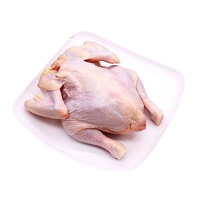 脆皮炸鸡大挑战！20只、18只、23只、28只，童子鸡汉堡，哪家炸鸡店才是你的菜？