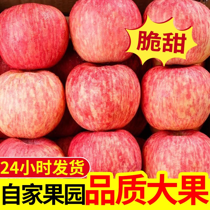 钰果香园：正宗山东烟台栖霞红富士苹果，脆甜水果的极致享受！