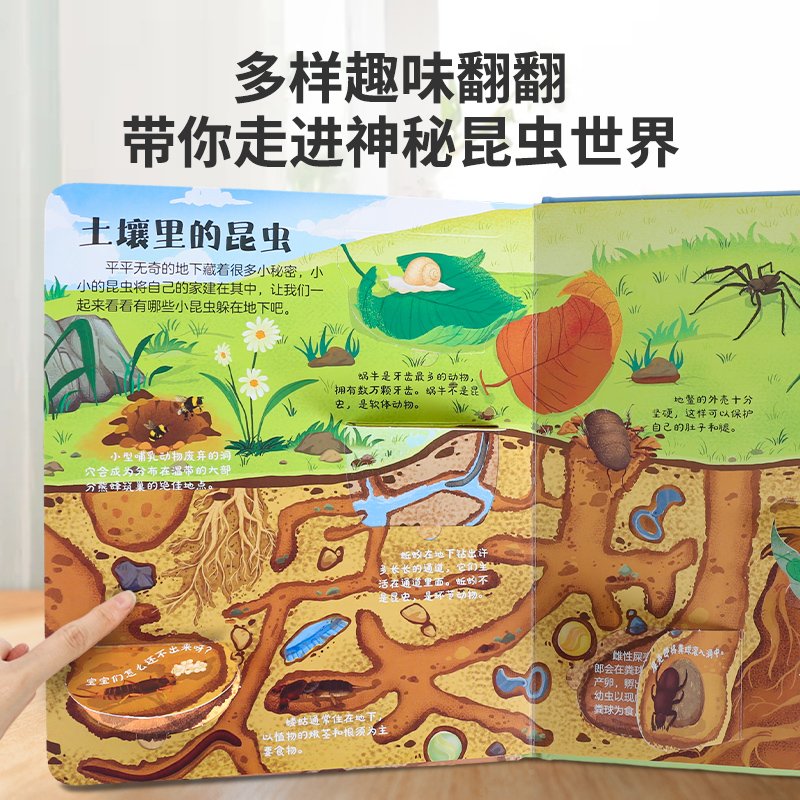 2025年是啥年？揭秘神秘生肖属性！