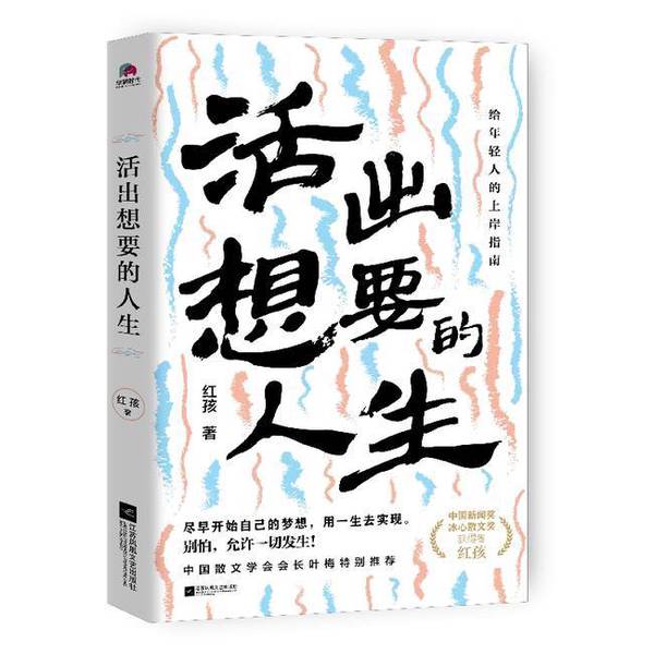 幸运13人偶：开启你的创意DIY之旅，解锁无限可能！