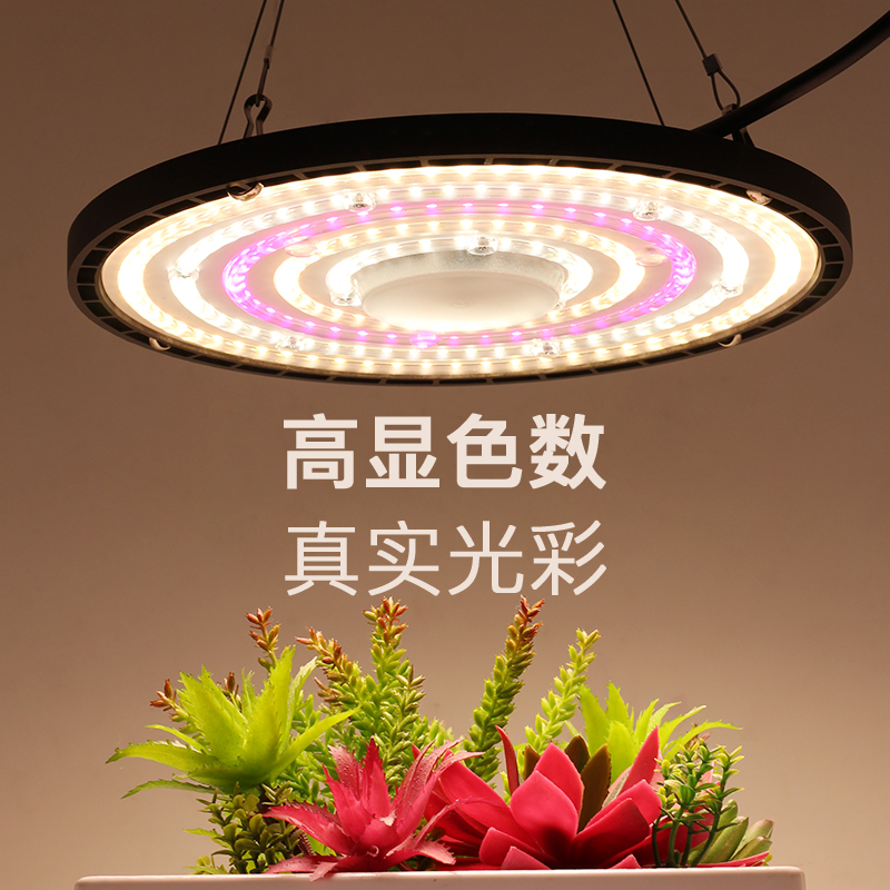 全光谱LED植物补光灯：拯救你的绿植，让室内开花结果！
