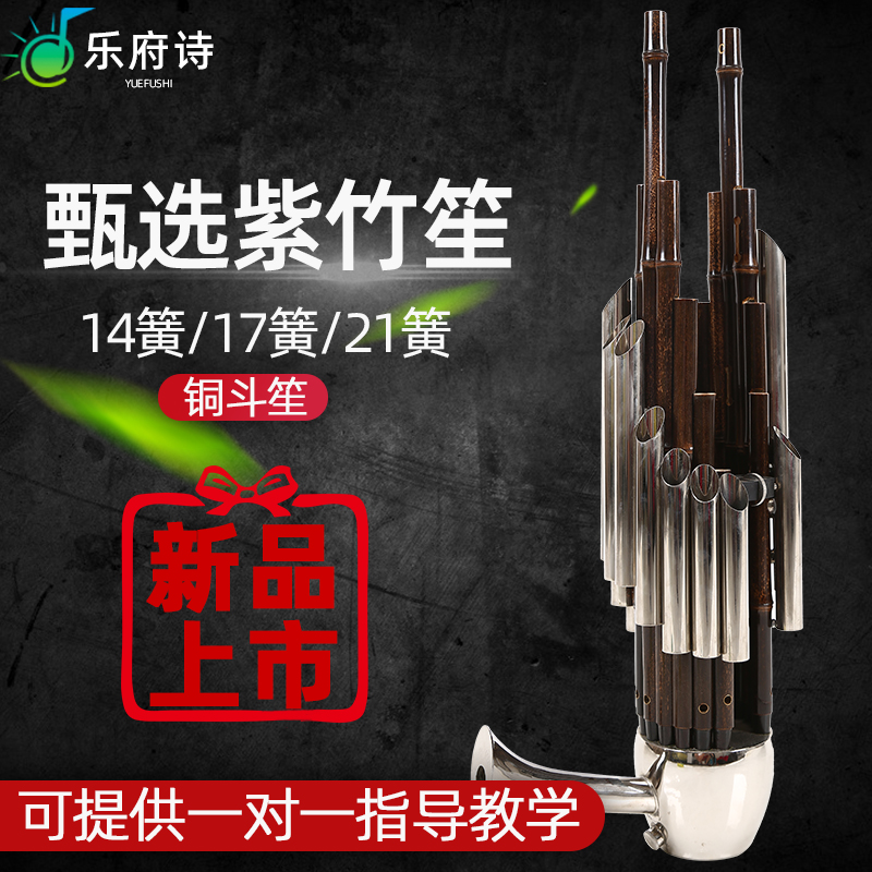 笙乐器全解析：从初学者到专业演奏家的必备神器！