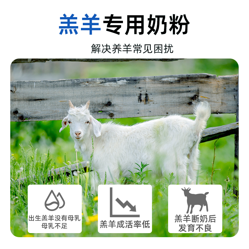 羔羊奶粉新突破：绵羊专用代乳粉，开启新生小羊健康成长新篇章！