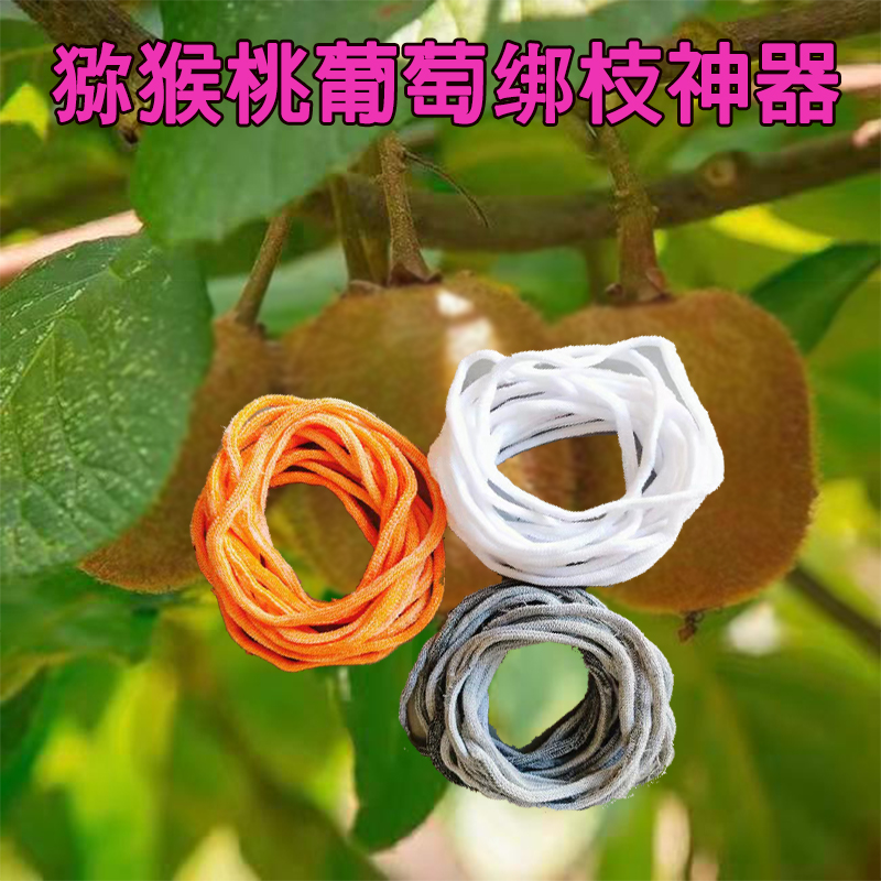 黄心猕猴桃干：原味大片，零食界的营养爆棚神器！