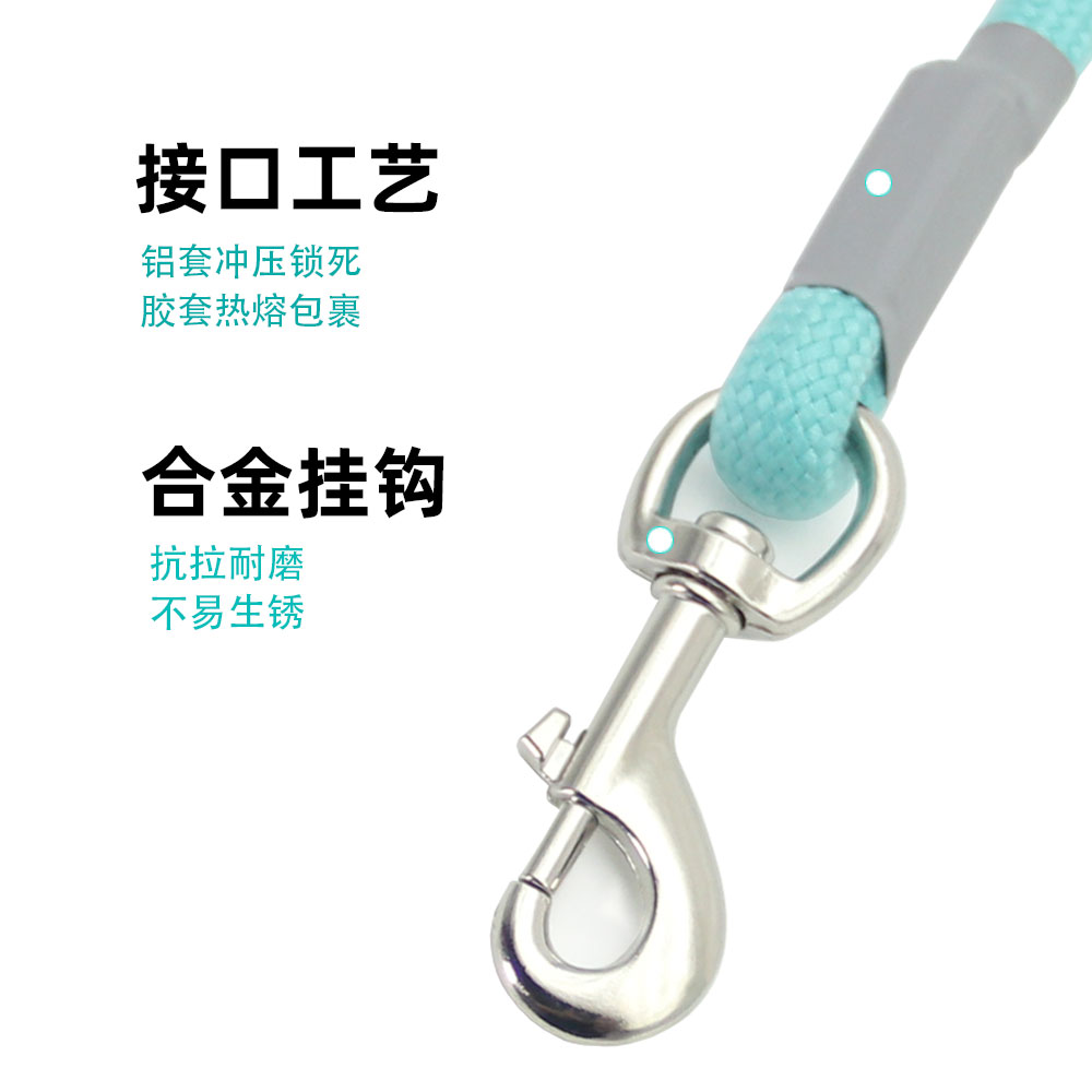 宠物遛步新潮流：宠多滋遛狗神器，让柯基柴犬不再怕脏！