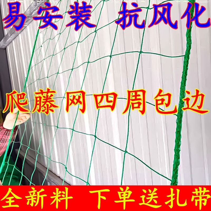网感爆棚！&quot;专升本&quot;背后隐藏的大学升级秘密，你get了吗?