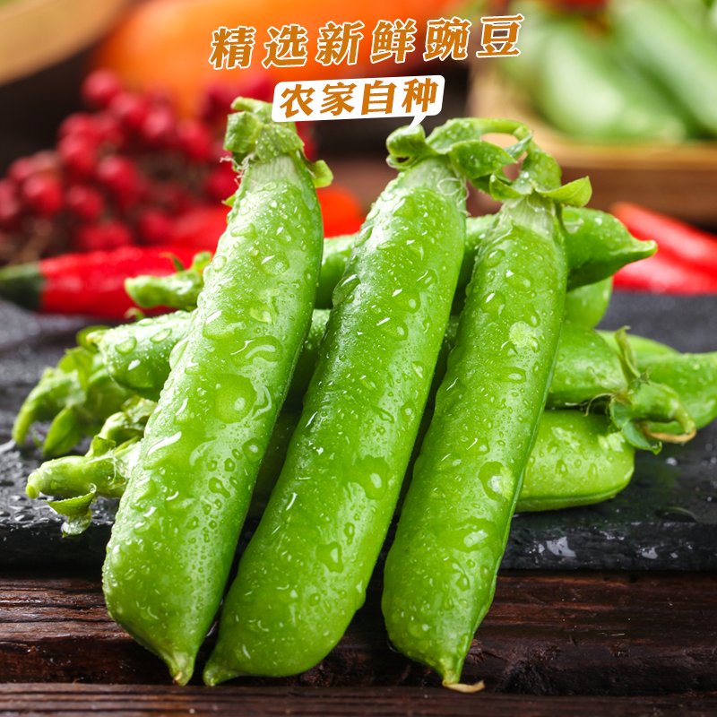 揭秘快手概念版190豌豆荚！你真的了解这款黑科技APP吗？