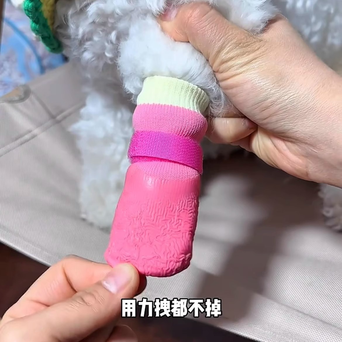 狗狗袜子宠物袜子防滑棉袜长筒袜，让泰迪犬冬日也能优雅出行!