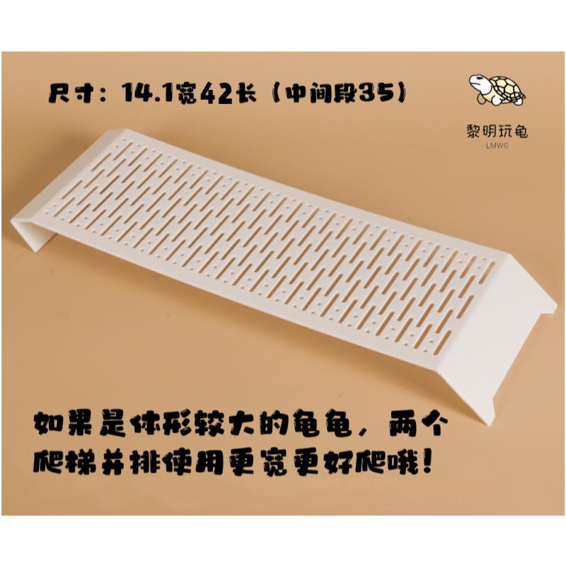 乌龟产蛋池晒台大揭秘：黑白黄蓝，打造完美龟类乐园！