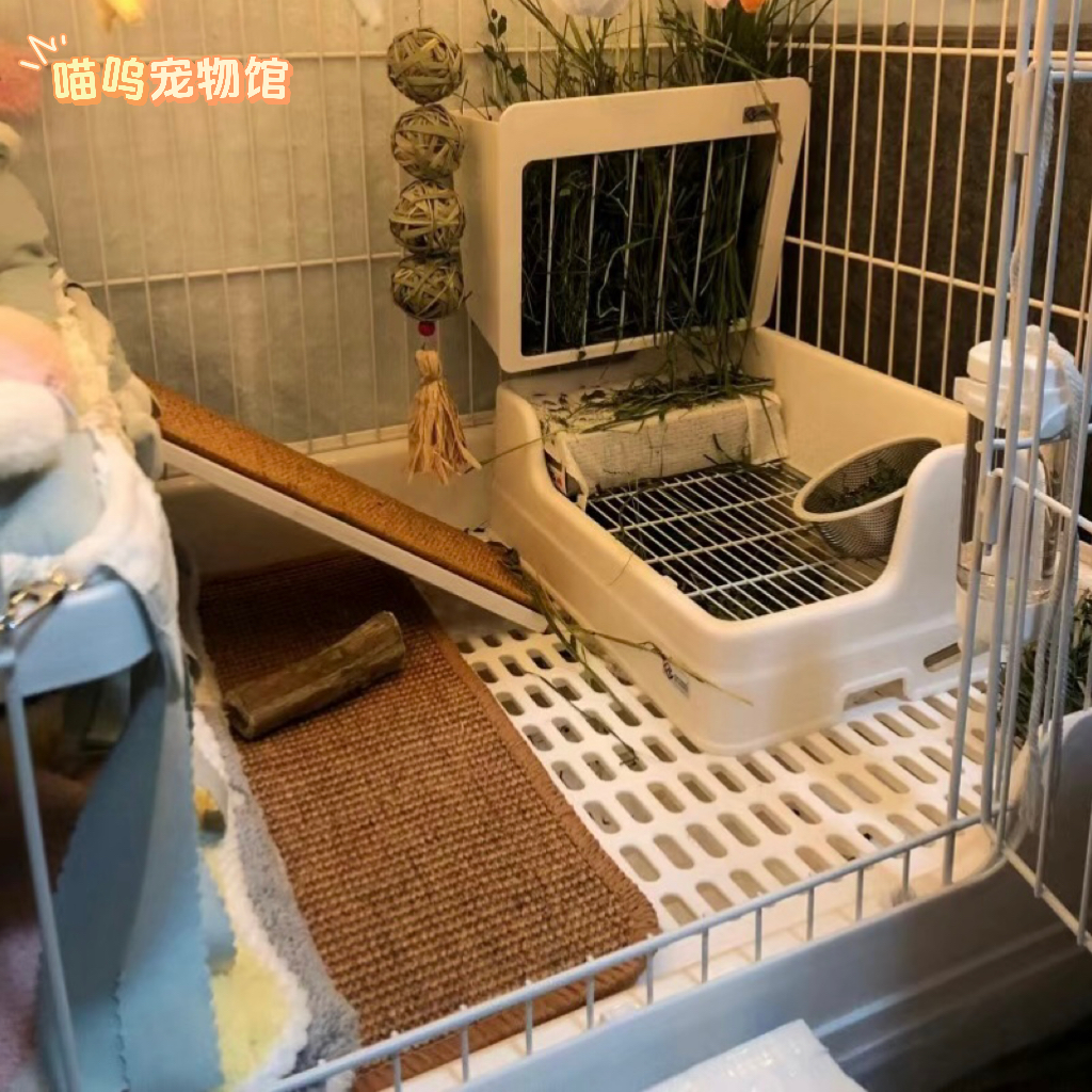 救命！这个磨爪板也太香了吧！兔子龙猫松鼠都爱的防卡脚神器