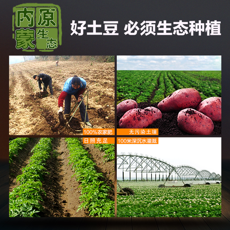 包邮薯都直发内蒙古原生态土豆，高山新鲜5斤装，吃出家乡的味道！