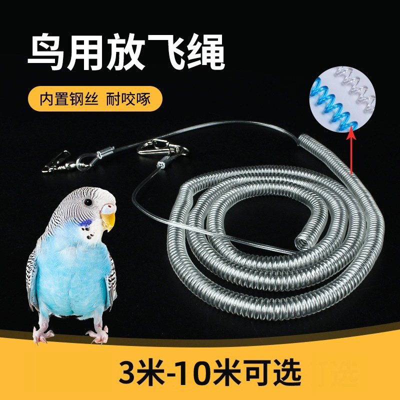 鹦鹉放飞绳：如何让爱宠安全翱翔？超轻遛鸟绳+脚链，解锁飞行新姿势！