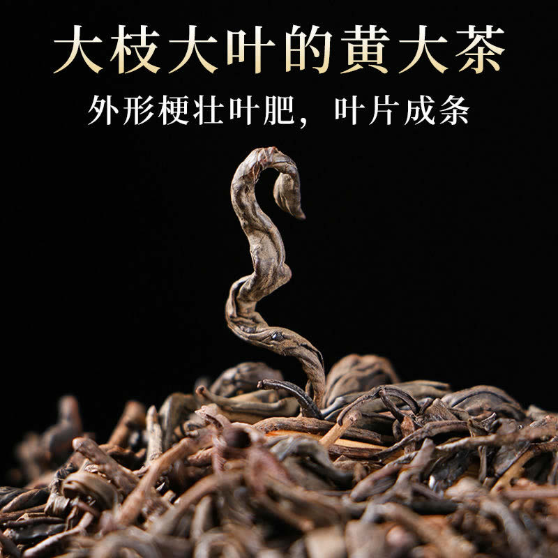 山西洪洞大叶茶：临汾焦香的秘密，齐老鲁干烘的独特魅力！