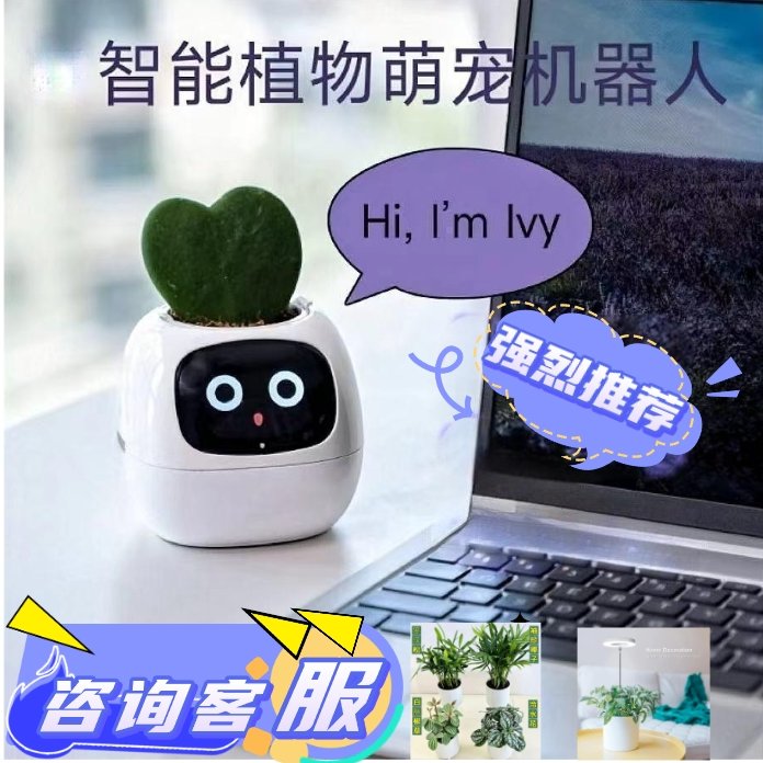 猛龙AI萌宠智能电子花盆：给女儿的生日礼物，科技与自然的完美融合
