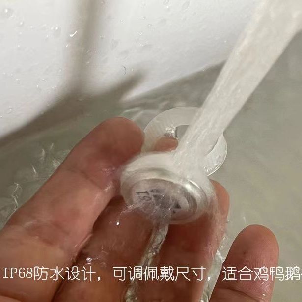 智能鸡脚环计步器+农家鸡App远程监测，认养一只真正的散养鸡！
