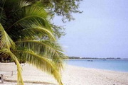 Beach Scenes3.0