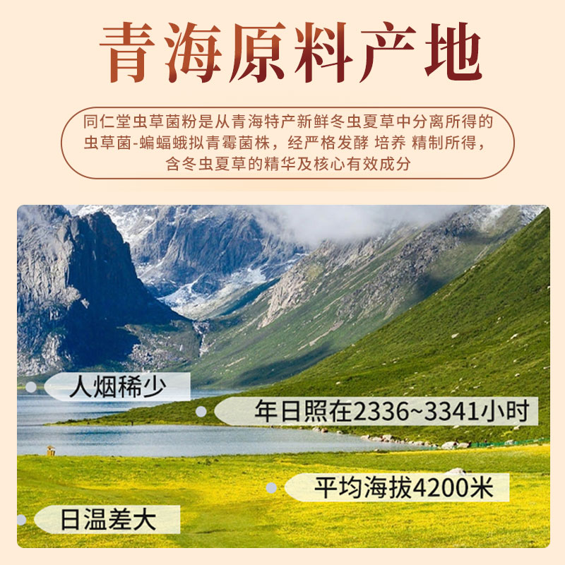 同仁堂发酵虫草菌粉CS-4：500克的养生革命，你还在等什么？
