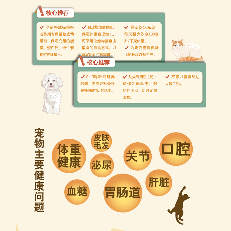 问题小孩歌词解读：绝绝子，你真的懂这首歌吗？
