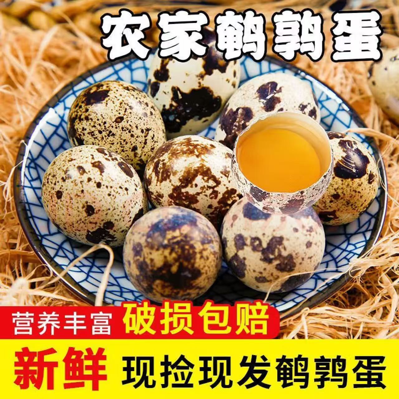 生鹌鹑蛋100枚整箱新鲜上市，揭秘鹌鹑蛋背后的营养价值与食用技巧！