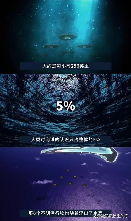 七海雛,探寻海洋深处的神秘生物