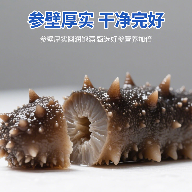 星仔岛即食海参500g辽刺参：滋补养生界的超级明星