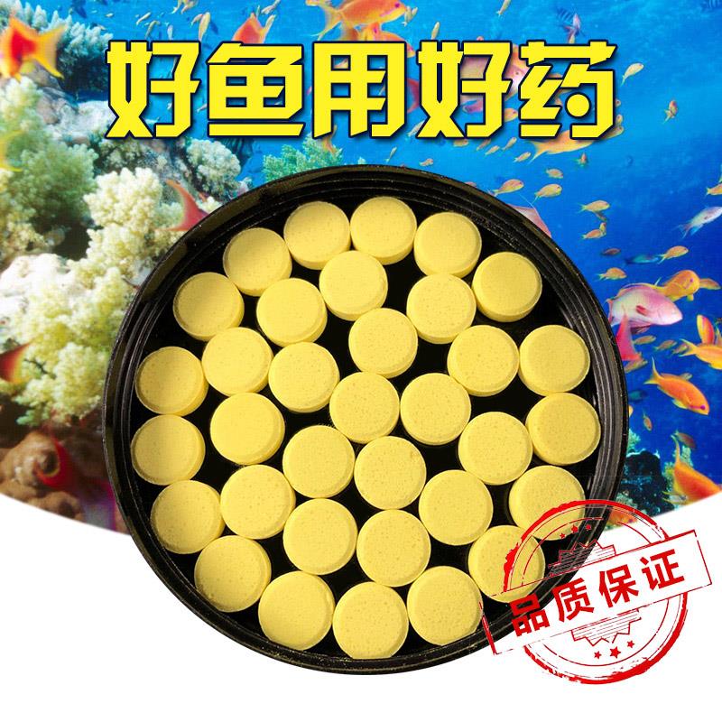 大白片+痢特灵：拯救你的观赏鱼，告别肠炎与寄生虫困扰！