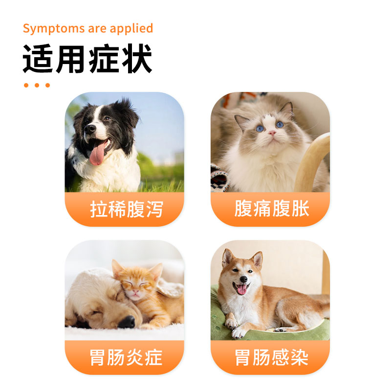硫酸新霉素片：宠物猫狗拉稀止泻神器，肠胃炎症软便救星！