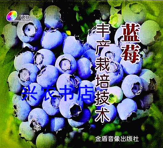 大棚蓝莓种植有哪些关键技术？如何科学管理提高产量？