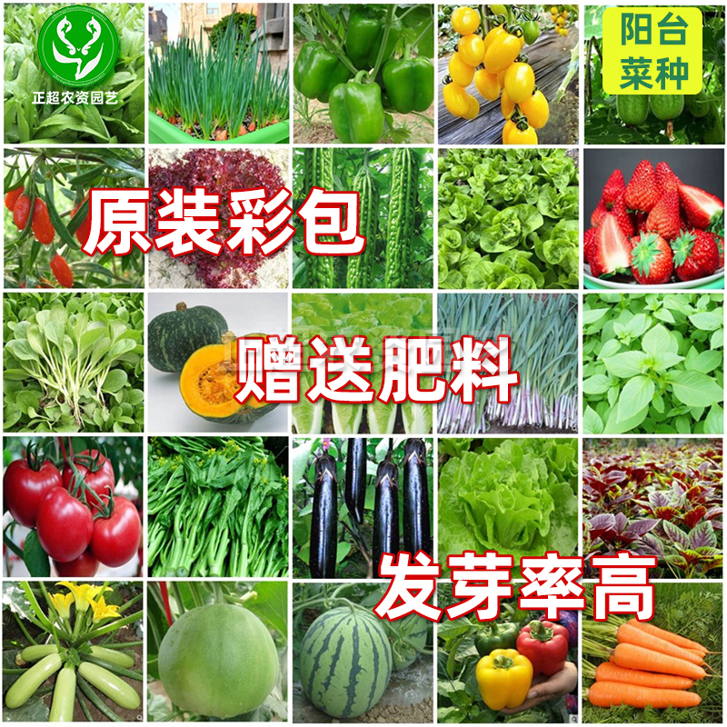 夏季时令水果图片：这些水果你吃过几种？太香了！
