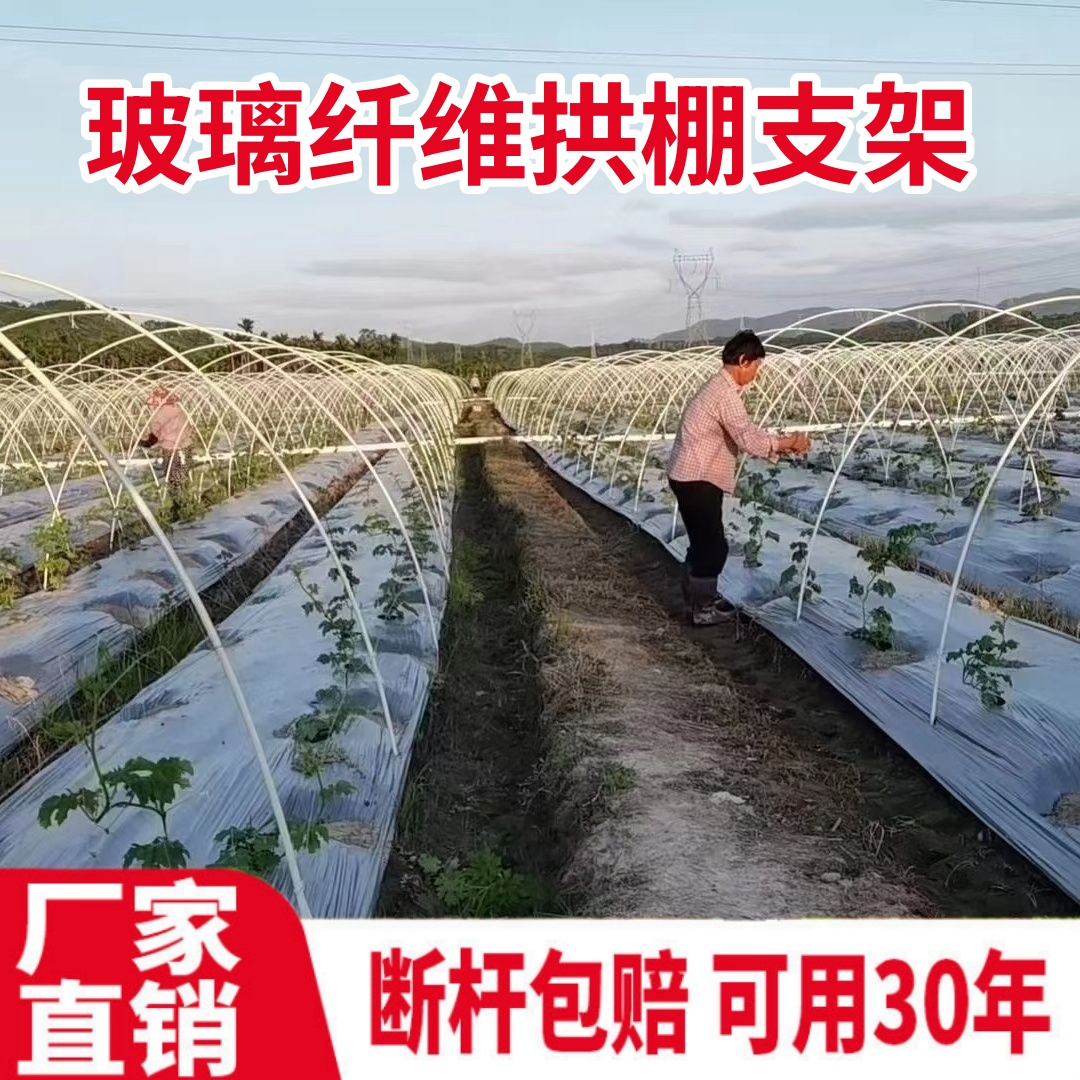 小拱棚支架的秘密：如何打造草莓花艺温室大棚的完美避风港？