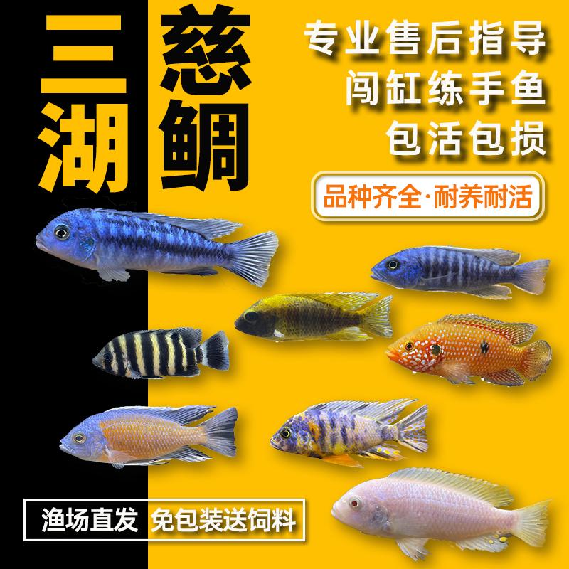 焦糖全熟双人餐：如何优雅地享受鲷鱼约7分熟的美味盛宴？