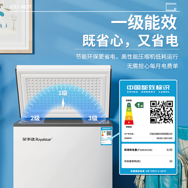 荣事达小冰柜：家庭商用两相宜，冷冻保鲜新选择！❄️