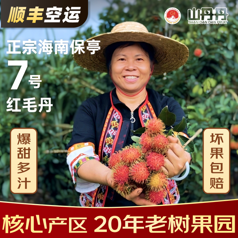 SF空运新鲜直达！海南保亭保研7号红毛丹，孕妇也能安心享受的热带美味！