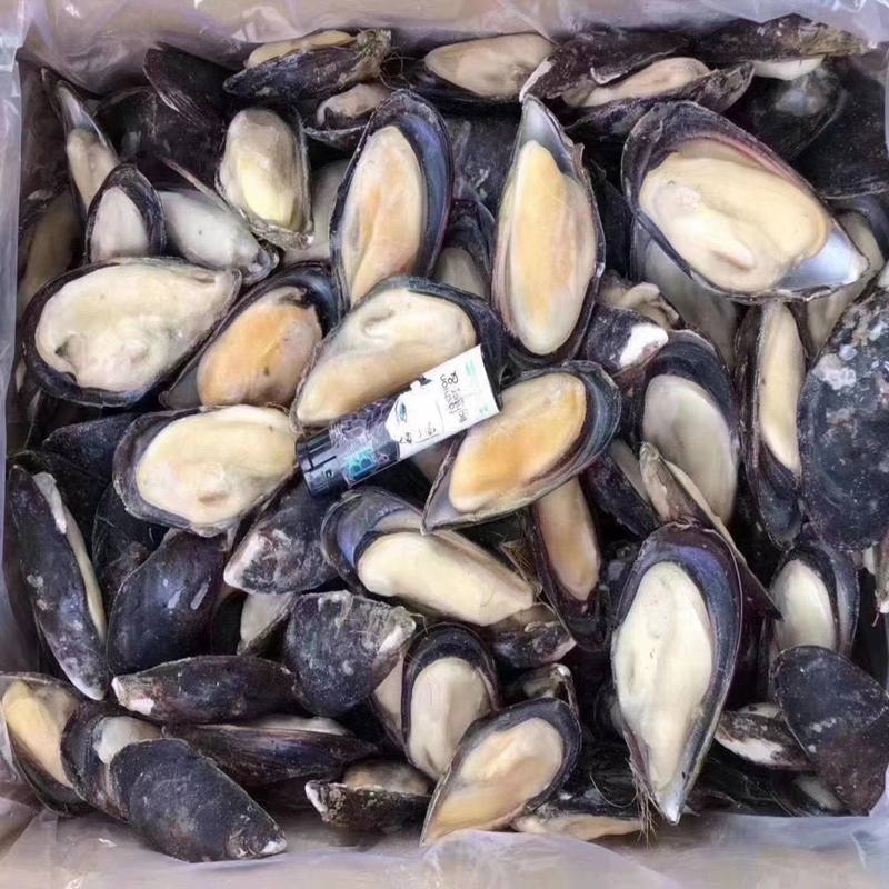蓝口贝整箱20斤新鲜冷冻半壳蓝壳贻贝海虹淡菜：海鲜盛宴的秘密武器！