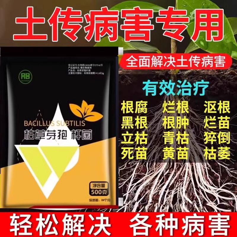 中捷四方夜蛾诱捕器：16孔专利斜纹夜蛾诱芯，蔬菜杀虫专用药，守护你的绿色餐桌！