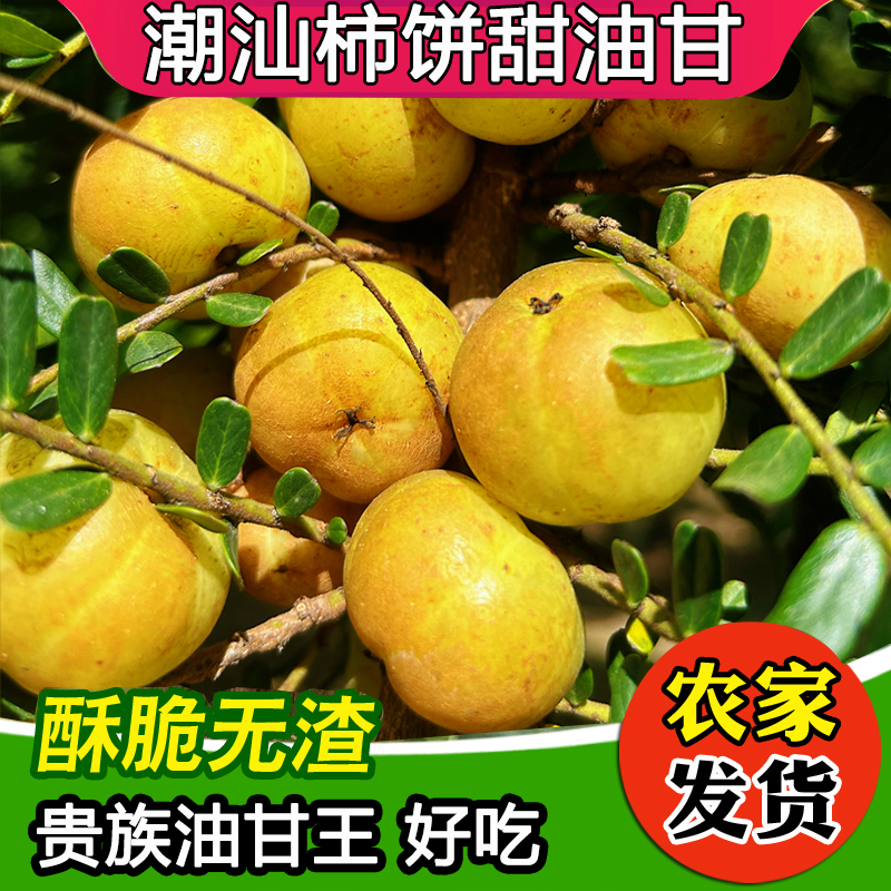新鲜甜油甘果：潮汕柿饼油柑的甜蜜诱惑，余甘果牛甘果的多重滋味