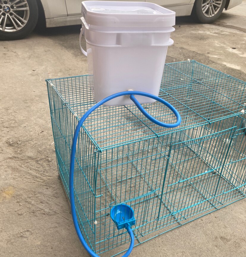 养殖兔笼必备：兔子自动饮水器的选择秘籍